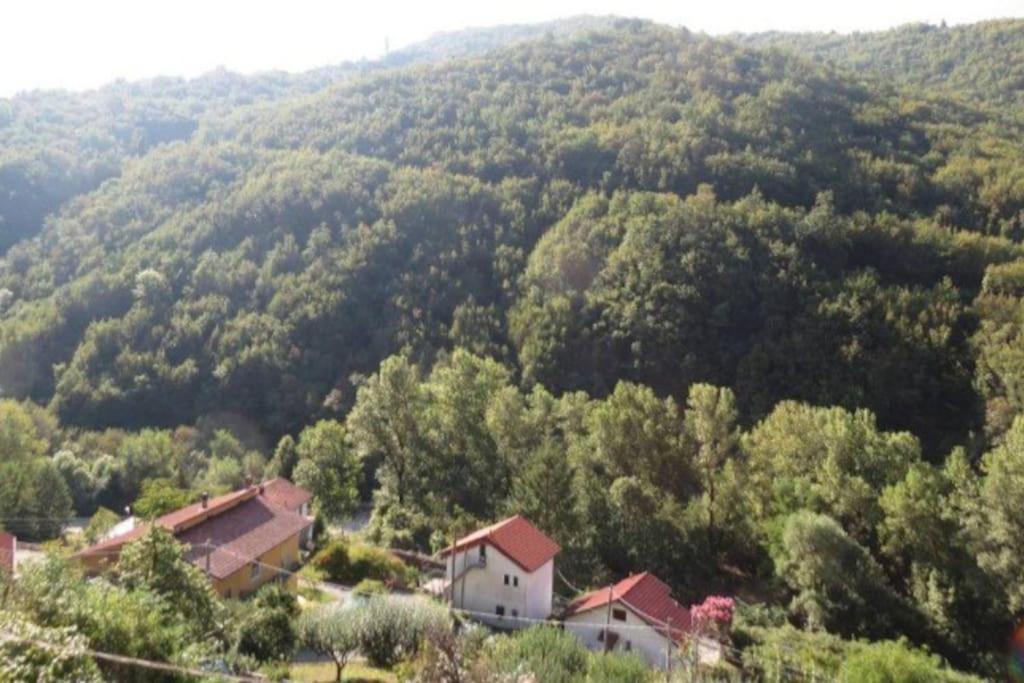 Il Non Ti Scordar Di Me Villa Valbravenna Exterior photo